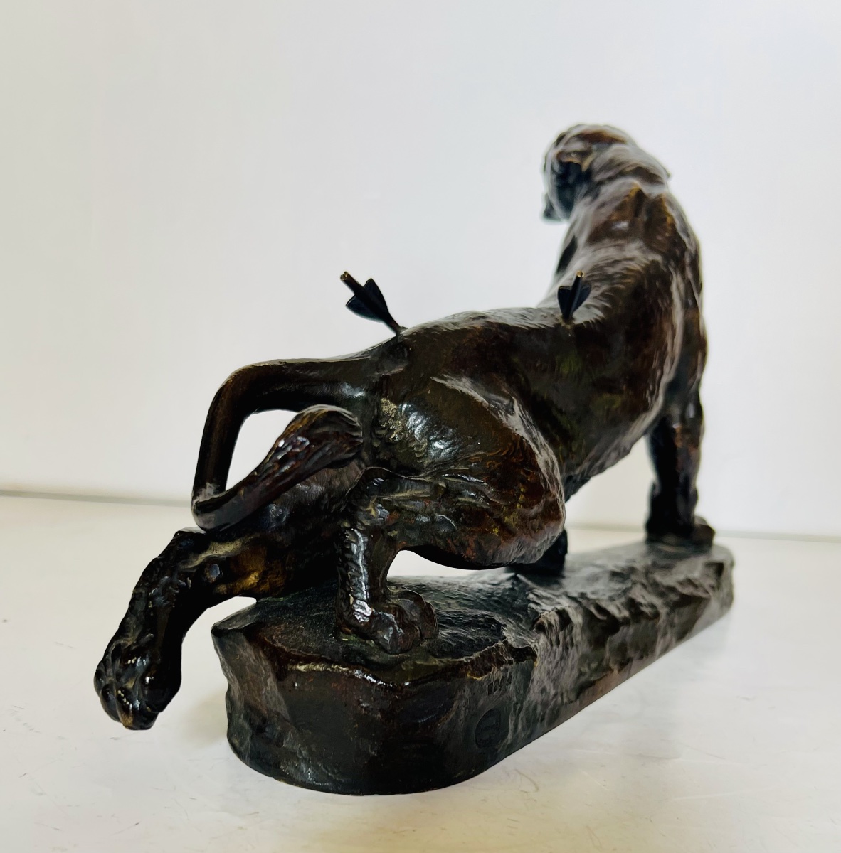 Lionne blessée - Charles VALTON-photo-6
